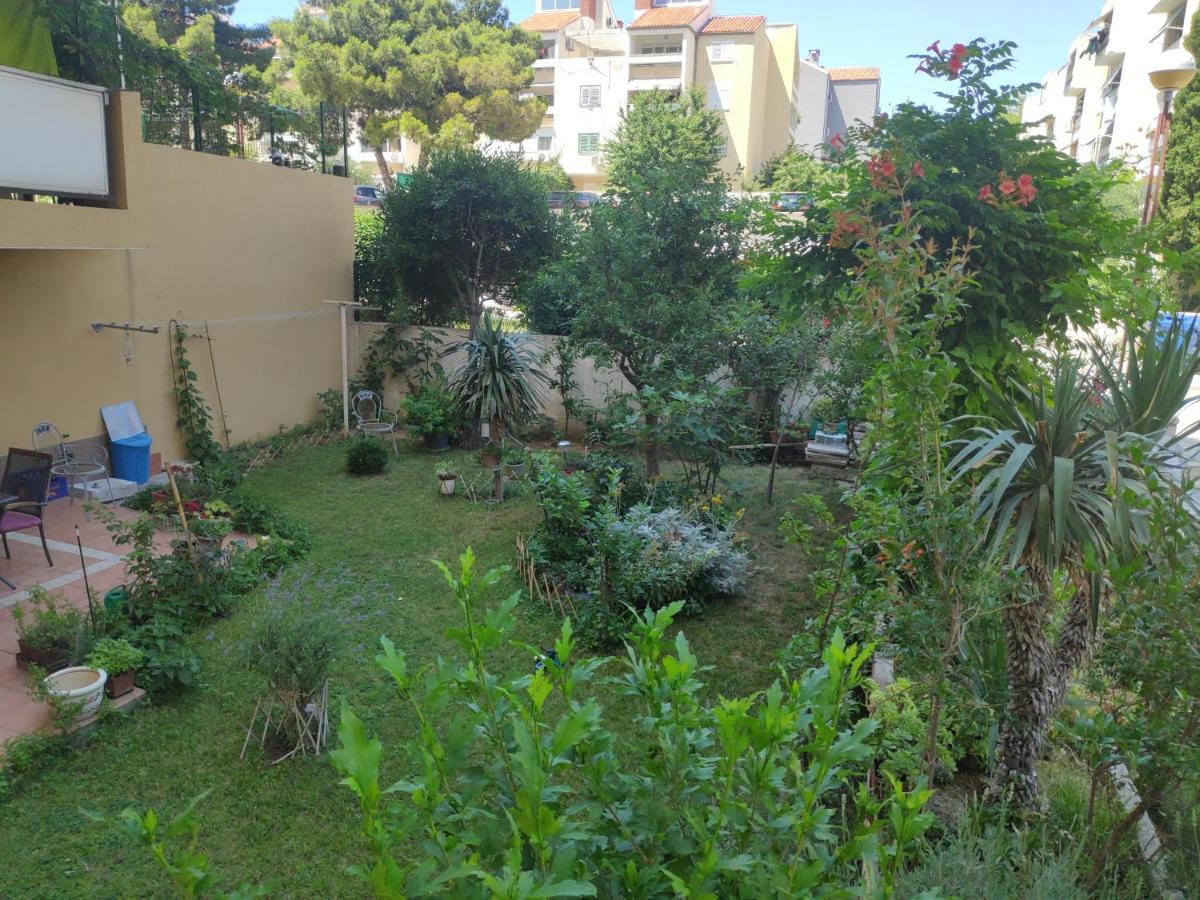 Appartement Spacious With Big Garden Near