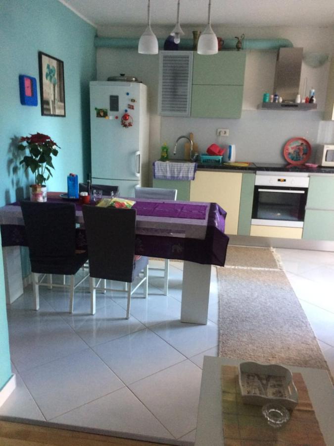 Appartement Spacious With Big Garden Near *